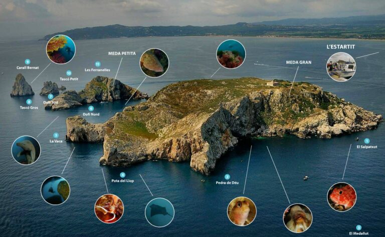 Stage de mer à l&rsquo;Estartit - Estartit: sites de plongée